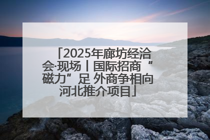 2025年廊坊经洽会·现场丨国际招商“磁力”足 外商争相向河北推介项目