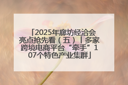 2025年廊坊经洽会亮点抢先看（五）丨多家跨境电商平台“牵手”107个特色产业集群