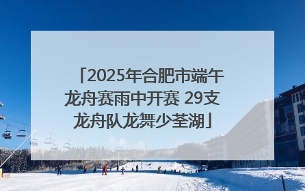 2025年合肥市端午龙舟赛雨中开赛 29支龙舟队龙舞少荃湖