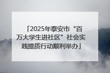 2025年泰安市“百万大学生进社区”社会实践提质行动顺利举办