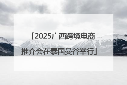 2025广西跨境电商推介会在泰国曼谷举行