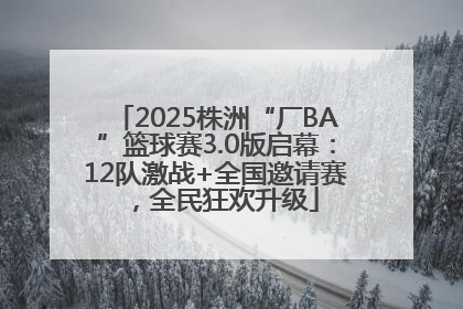 2025株洲“厂BA”篮球赛3.0版启幕：12队激战+全国邀请赛，全民狂欢升级