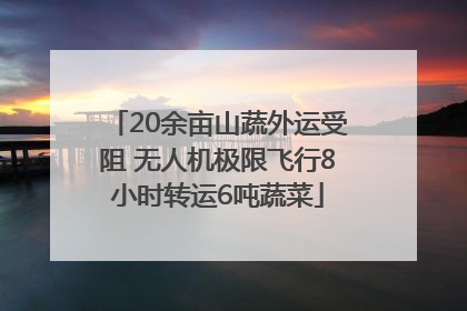 20余亩山蔬外运受阻 无人机极限飞行8小时转运6吨蔬菜