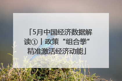 5月中国经济数据解读①丨政策“组合拳”精准激活经济动能