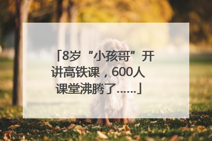 8岁“小孩哥”开讲高铁课，600人课堂沸腾了……