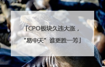 CPO板块久违大涨，“易中天”谁更胜一筹