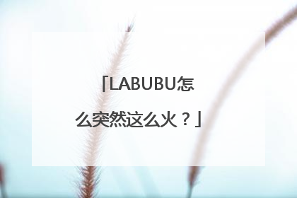 LABUBU怎么突然这么火？