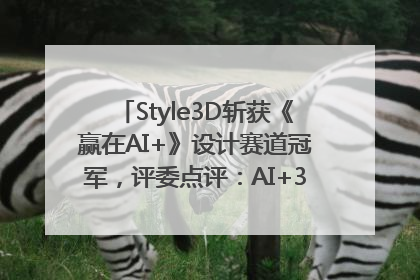 Style3D斩获《赢在AI+》设计赛道冠军，评委点评：AI+3D技术世界第一